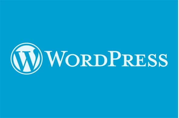sized wordpress logo